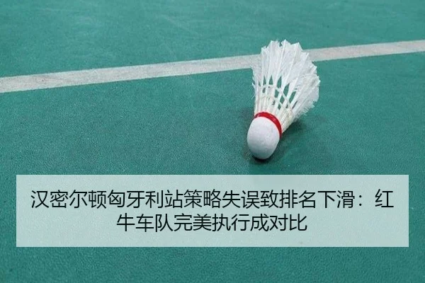 han-mi-er-dun-xiong-ya-li-zhan-ce-lve-shi-wu-zhi-pai-ming-xia-hua-hong-niu-che-dui-wan-mei-zhi-xing-cheng-dui-bi-2-734.jpg